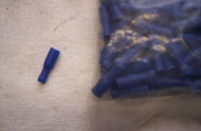 Blue female bullet pack of 50