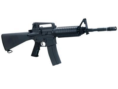 Pcr MIL4-as aeg